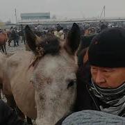 Бугунку Ат Базар Укмуш Болду Жалал Абад 23 11 19