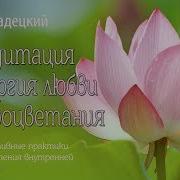 Олег Гадецкий Медитация