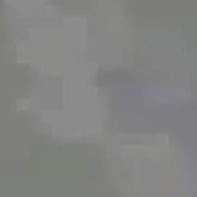 واريدك ياغالي
