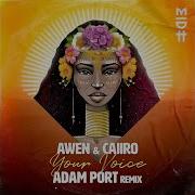 Your Voice Adam Port Remix От Caiiro