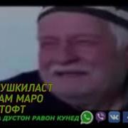 Фуркат Саидов Бекаси