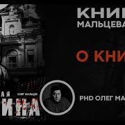 Книга Обманчивая Тишина Олег Мальцев