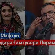 Мирмафтун Зардолу Зард