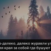 Александр Казлитин Журавли