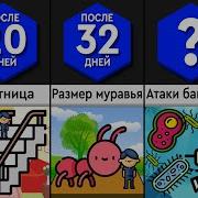 Что Если Мы Будем Уменьшаться