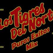 Los Tigres Del Norte