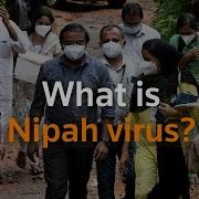 Nipah