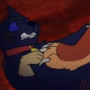 Cat Warrior Танцуй На Костях Звездоцап