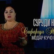 Модар Кучо Шуди