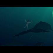 Big Fish And Begonia Guqin