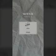 Изучать Арабский Язык Во Сне 10 Часов