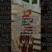 Как Красива Была Эта Роза