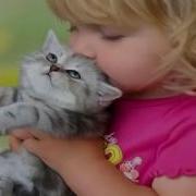 Не Учите Детей Жестокости Научите Детей Любви