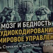 Таи Ная Картина Мира С Дмитрием Перетолчиным