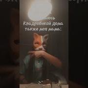 Иди Читай Книжку Собирай