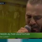 Engin Altan Düzyatan Sari Laleler