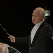 Сергей Догадин Скрипка