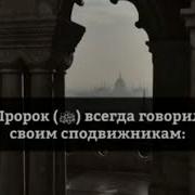 Я Скучаю По Своим Братьям