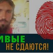 Живые Не Сдаются Возрождённый Ссср Сегодня