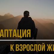 Адаптация К Взрослой Жизни Книга