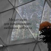 Медитация Для Начинающих Любящая Доброта