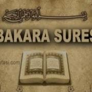 Al Bakara Suresi