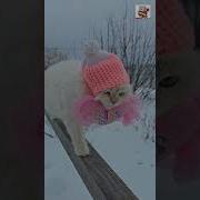 Горячий Кофе