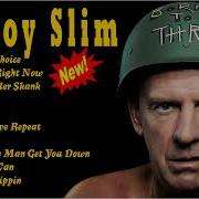 Fatboy Slim Best