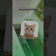 С Днем Рождения Селимхан