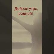 Приятный Мужской Голос Желает Доброе Утро