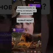 Маринка Не Чуди Мем