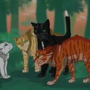 Коты Воители Песни На Английском
