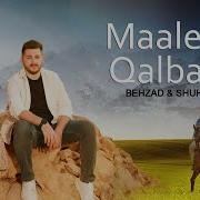 Malikai Qalbi