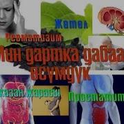 Миң Дартка Дабаа Өсүмдүк Мухаммед Пайгамбарыбыз Да Айткан