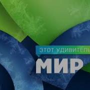 Рекламные Заставки Мир 2024