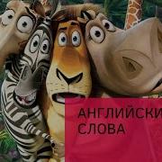Фразы Из Мадагаскара