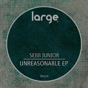 Sebb Junior