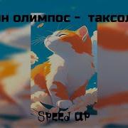 Таксолет Speed Up