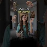 О Как Мем С Котом