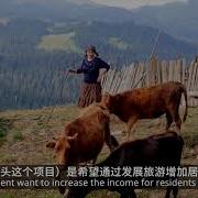 Тайна Кафе Пастораль