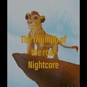 Lion Guard Nightcote