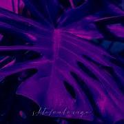 Chillout Julius Papp Lisa Shaw Miracle Jarred S Quiet Storm Mix