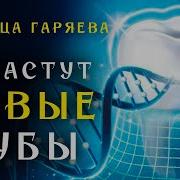 Полное Восстановление Зубов Матрица Гаряева Скачать Бесплатно