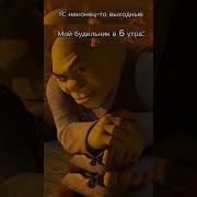 Шрек Поднимает Брови
