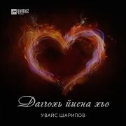 Увайс Шарипов Дагчохь Йисна Хьо