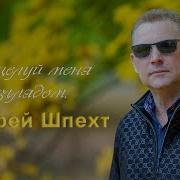 Андрей Шпехт Поцелуй Меня Взглядом