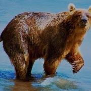 Полет Над Россией