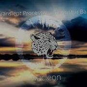 Transient Processor Transistor Bass Nucleon