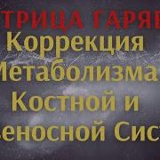 Матрица П П Гаряева Коррекция Метаболизма Костной И Кровеносной Систем