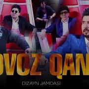 Dizayn Jamoasi Ovoz Qani